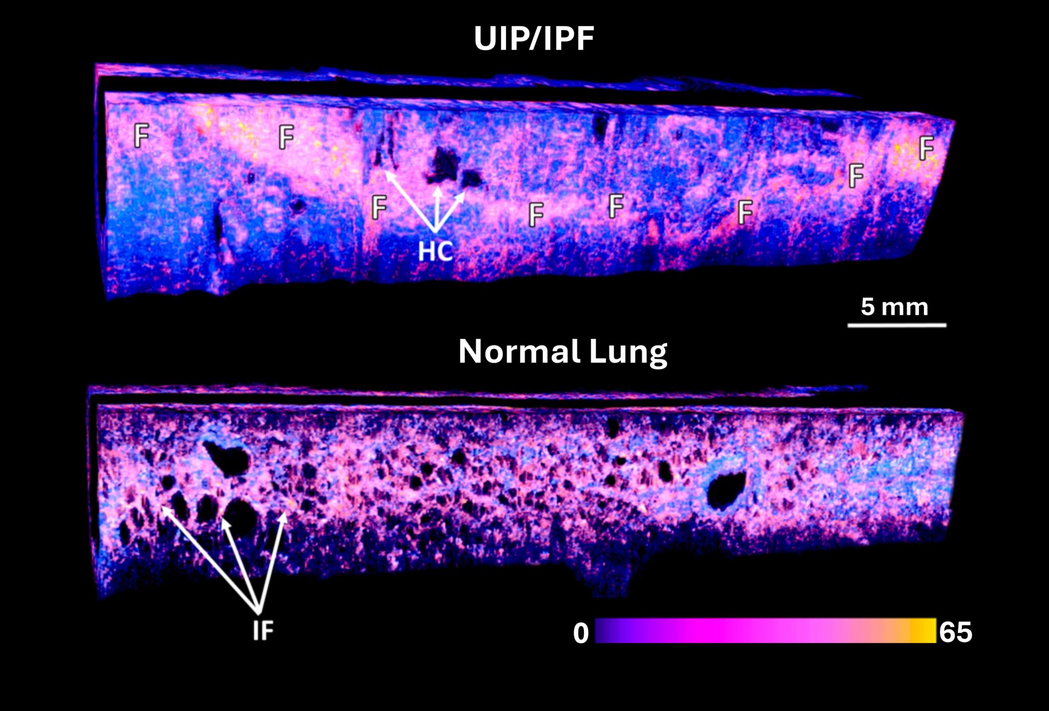 Research Hariri Optical Imaging Laboratory